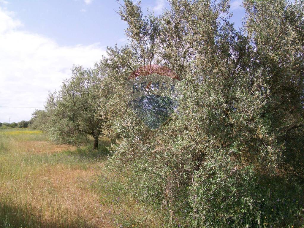 Villa a Piazza armerina in Contrada Gatta S:P: 65 - Foto 3