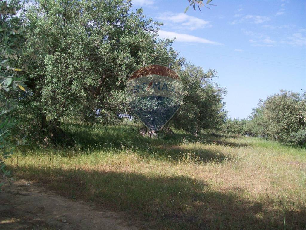 Villa a Piazza armerina in Contrada Gatta S:P: 65 - Foto 5
