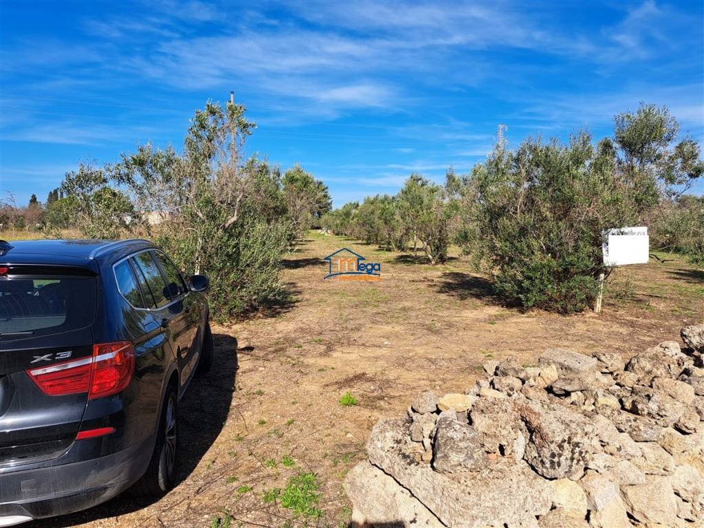 Terreno a Gallipoli in Strada Vicinale Alessandro Nanni - Foto 2