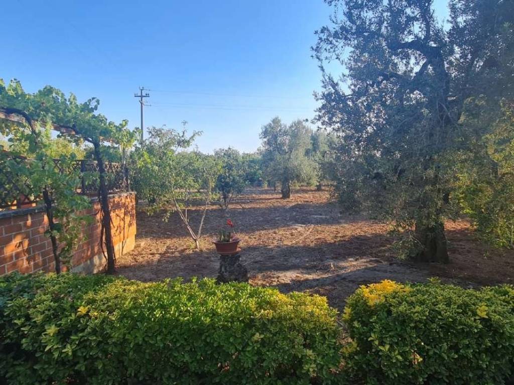 Villa a Bisceglie in via S.Andrea 260 - Foto 4