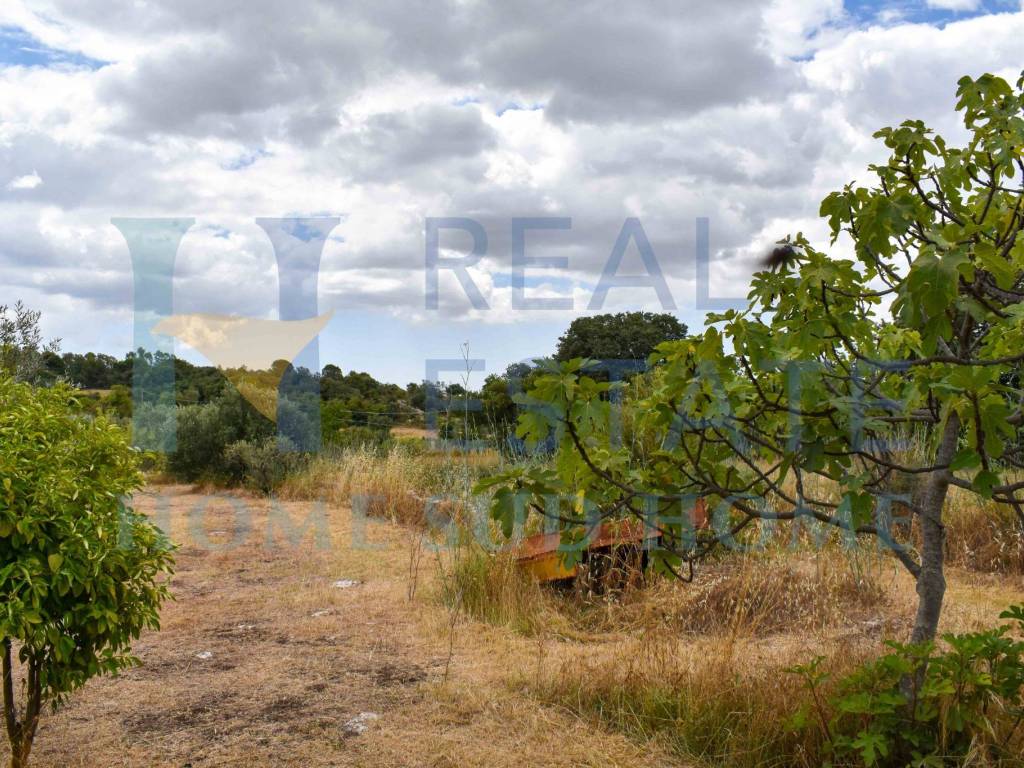 Villa a Noto in Via Tommaso Fazello, 228 - Foto 4