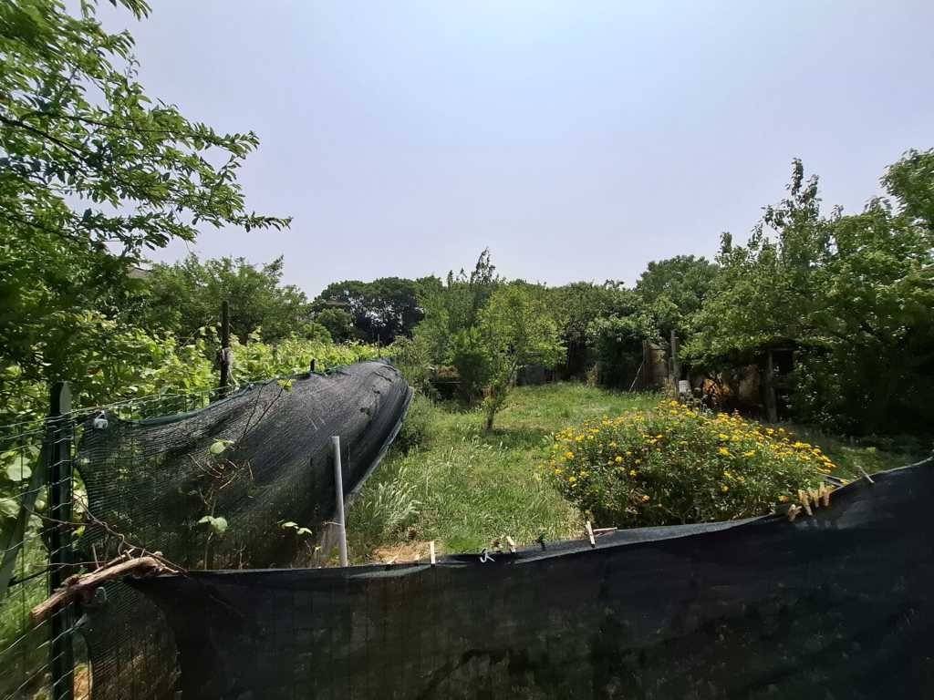 Appartamento a Villafranca di verona in Via Angelo Messedaglia - Foto 3