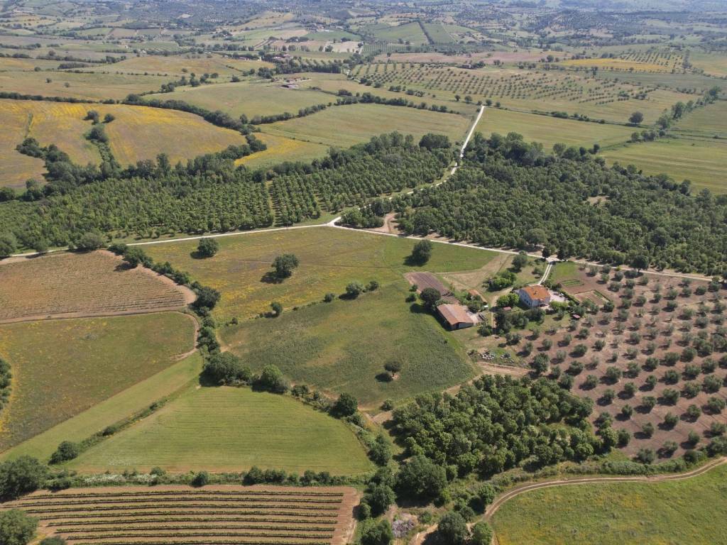Rustico / casale a Magliano in toscana in Strada Provinciale Talamone - Foto 2