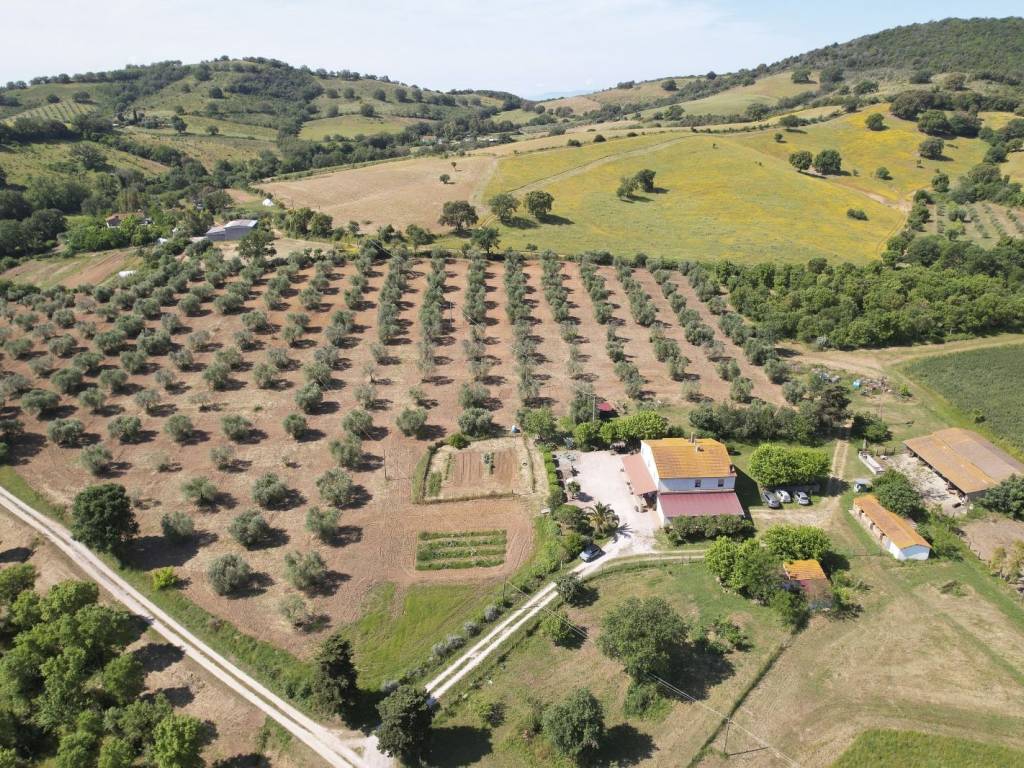 Rustico / casale a Magliano in toscana in Strada Provinciale Talamone - Foto 3