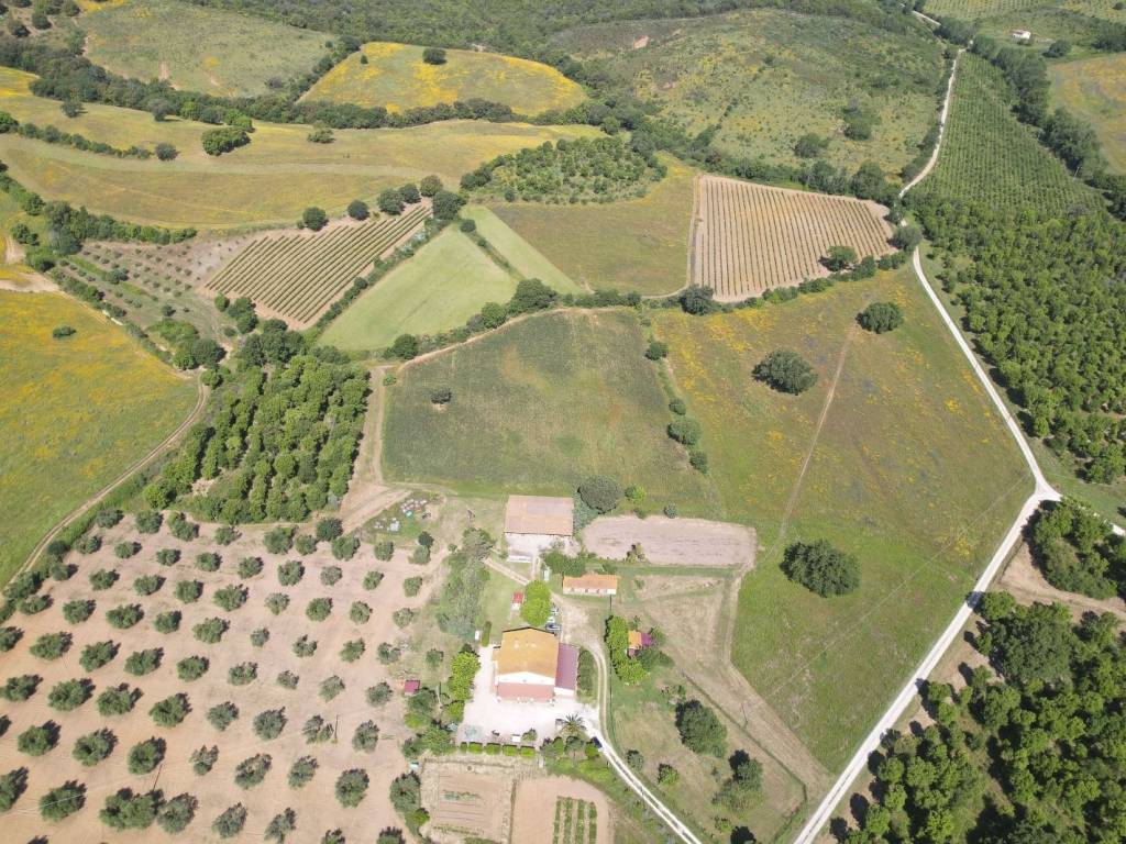 Rustico / casale a Magliano in toscana in Strada Provinciale Talamone - Foto 5