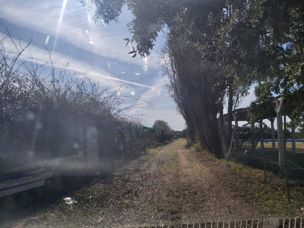 Terreno a Cagliari - Foto 2
