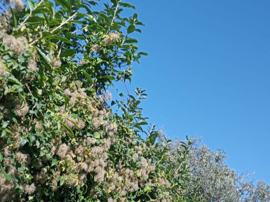 Casa indipendente a Castello del matese in Via Sant'Agostino - Foto 2