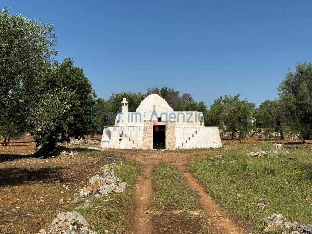 Rustico / casale a Carovigno in Contrada Colacurto - Foto 4
