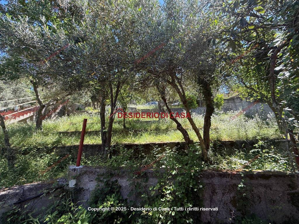 Terreno a Carini in Via Fiume Falco, 75 - Foto 2