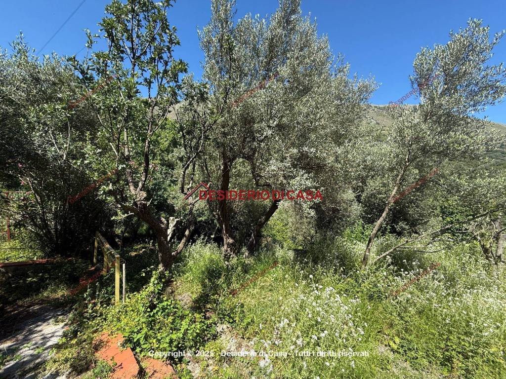 Terreno a Carini in Via Fiume Falco, 75 - Foto 3