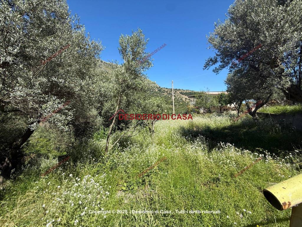 Terreno a Carini in Via Fiume Falco, 75 - Foto 4