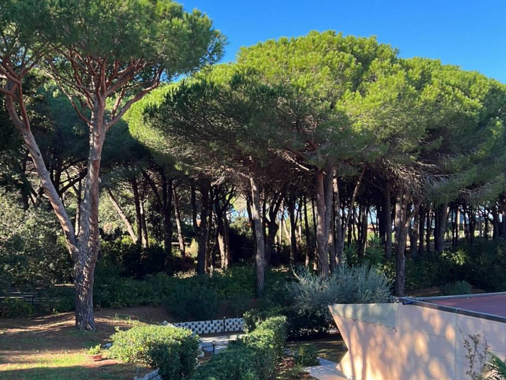 Appartamento a Castiglione della pescaia in Strada Provinciale Punta Ala - Foto 5