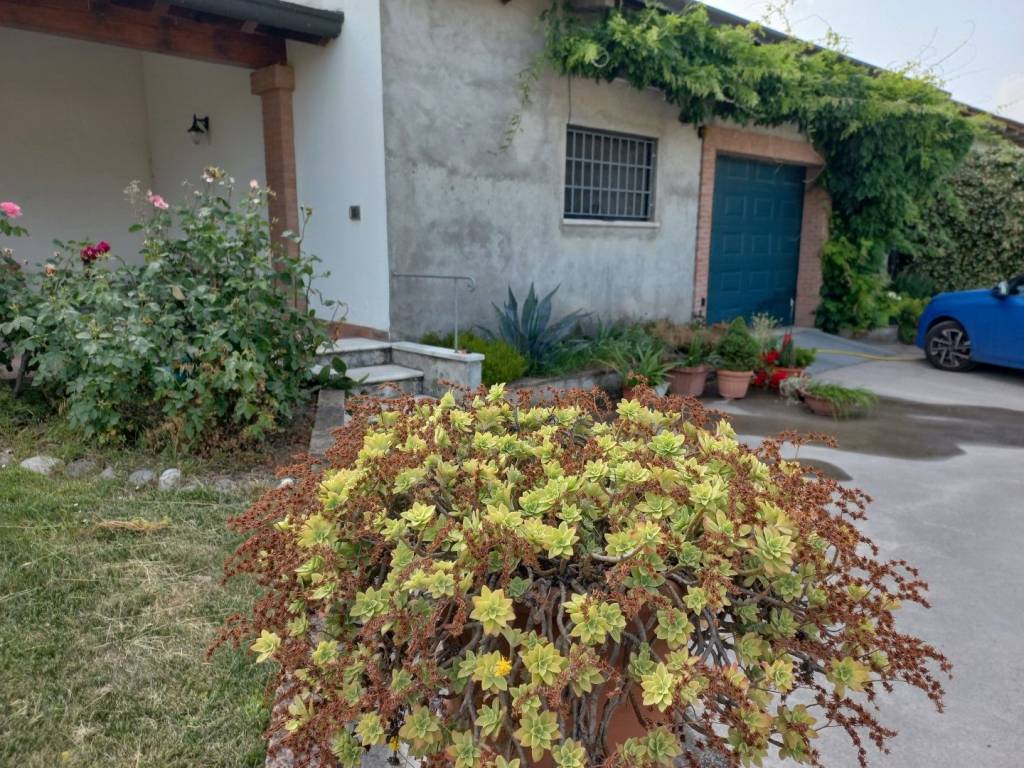 Villa a Leno in strada provinciale 68 - Foto 3