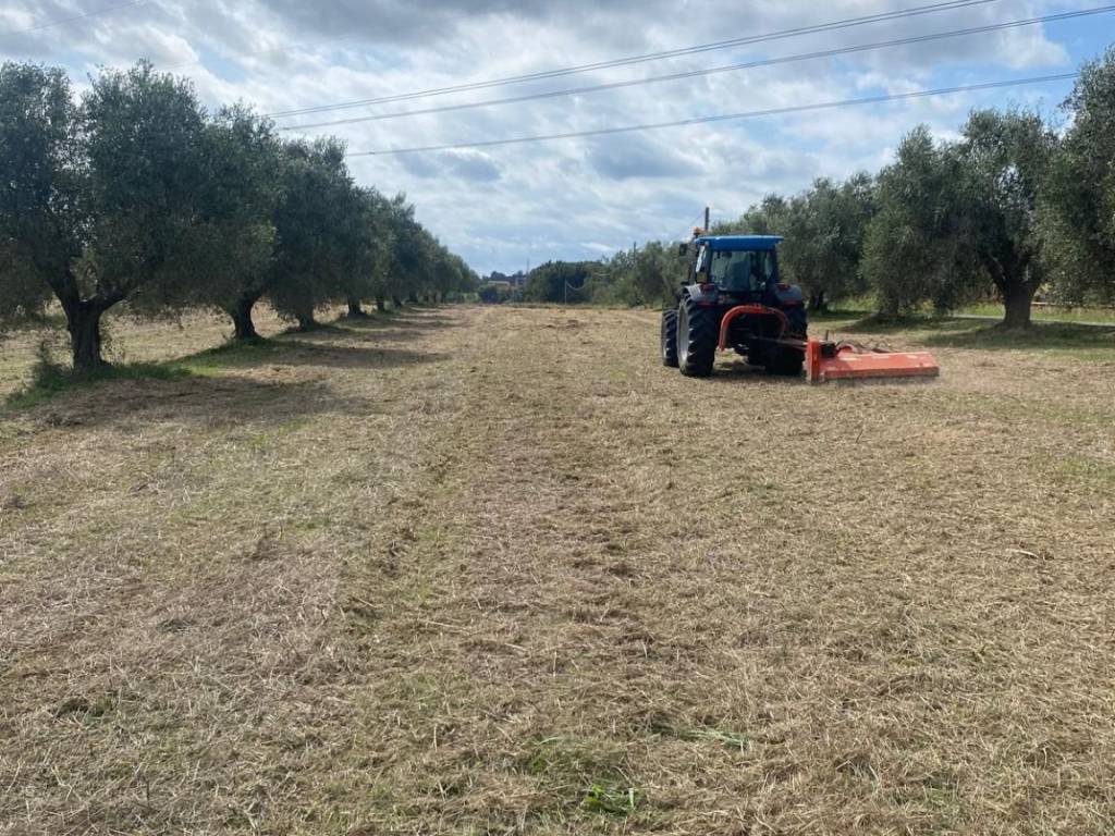Terreno a Aprilia in Via delle Due Case - Foto 2