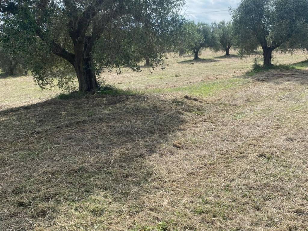 Terreno a Aprilia in Via delle Due Case - Foto 3