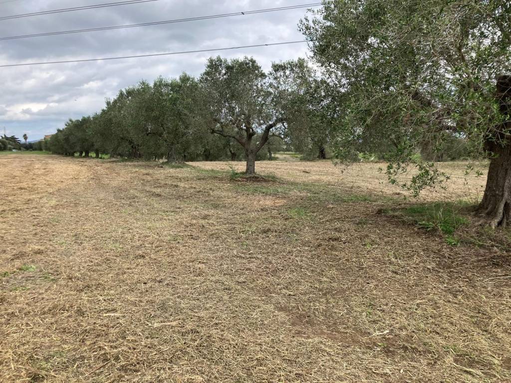 Terreno a Aprilia in Via delle Due Case - Foto 4