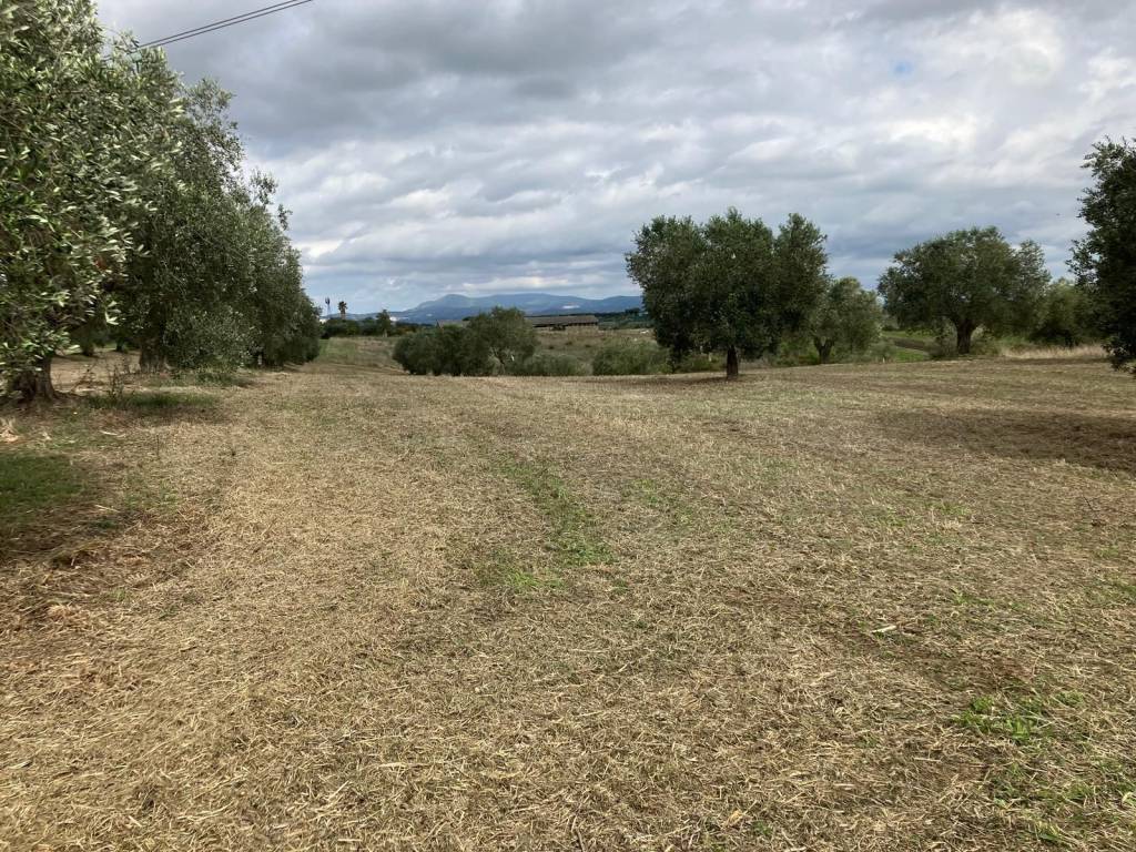 Terreno a Aprilia in Via delle Due Case - Foto 5