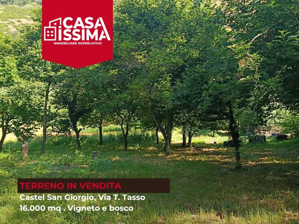Terreno a Castel san giorgio - Foto 2