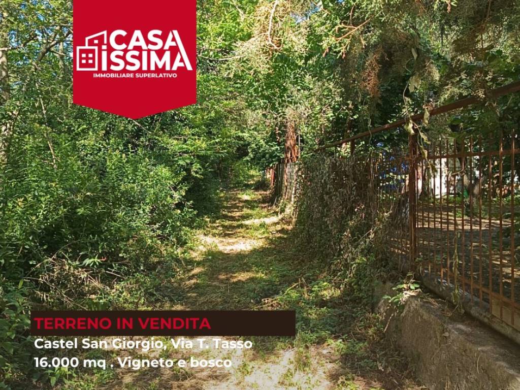 Terreno a Castel san giorgio - Foto 3