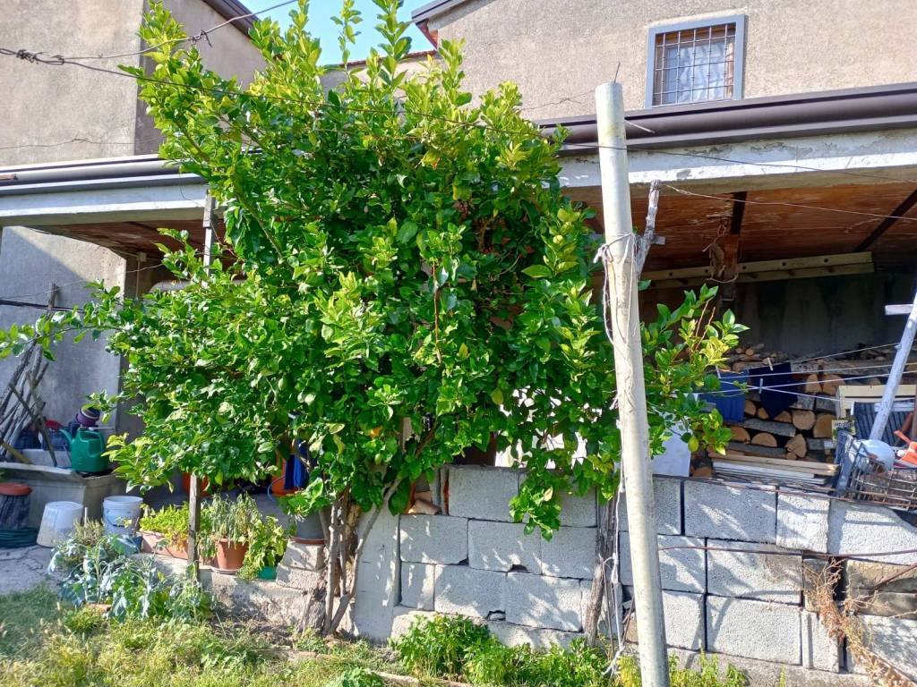 Casa indipendente a Castello del matese in SP331 - Foto 5