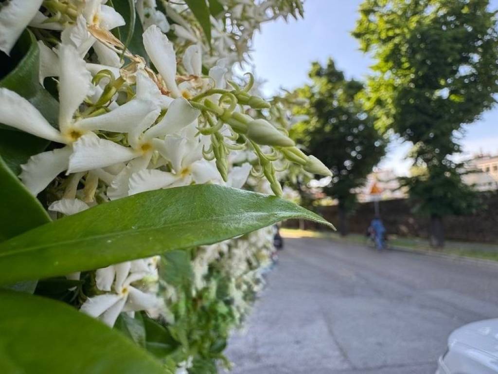 Appartamento a Rimini in Via Molini - Foto 2