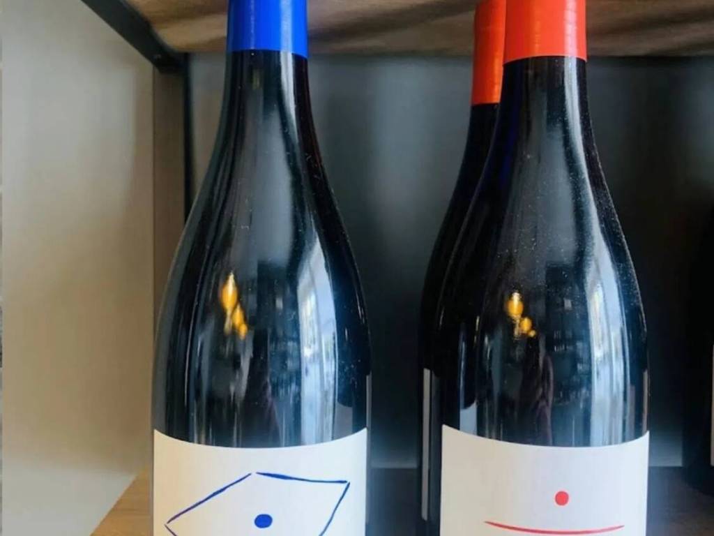 immagine di copertina