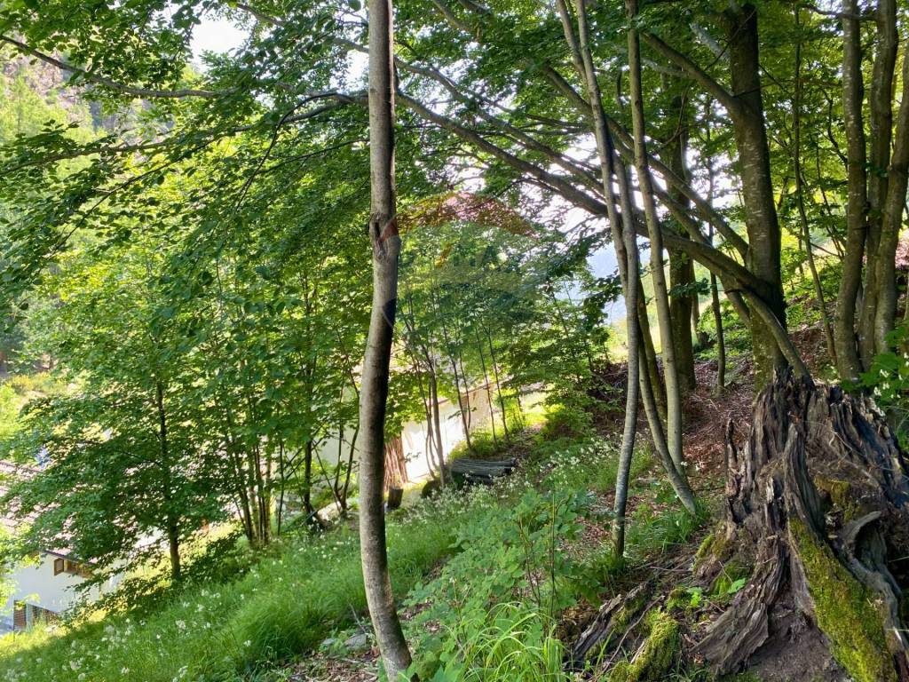 Rustico / casale a Gurro - Foto 3