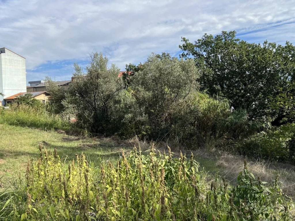 Terreno a Cosenza - Foto 3