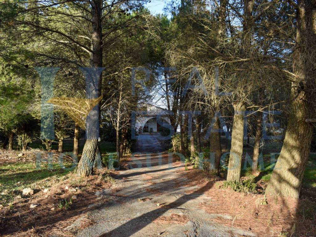 Villa a Noto in Via Tommaso Fazello, 228 - Foto 3