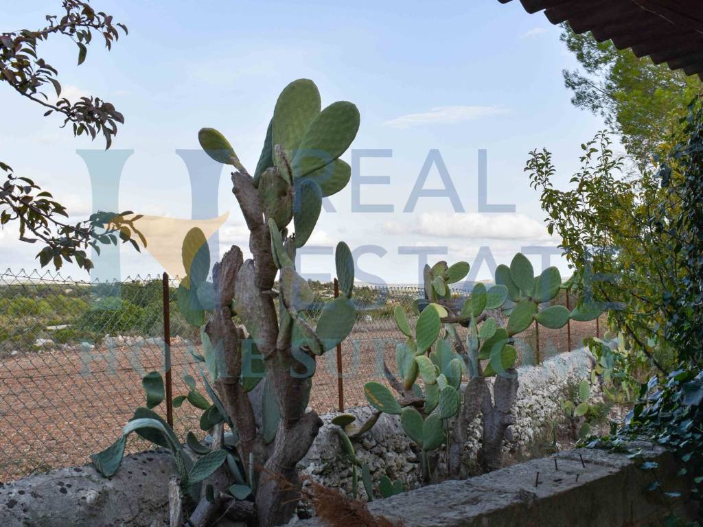 Villa a Noto in Via Tommaso Fazello, 228 - Foto 4