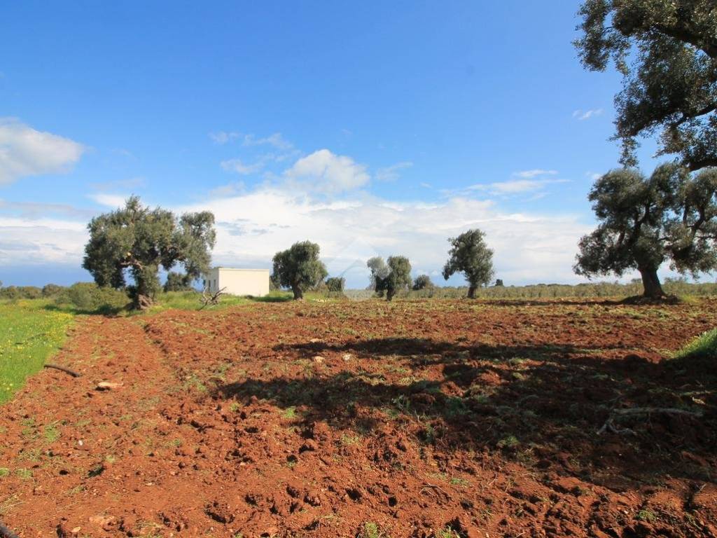 Rustico / casale a Ostuni - Foto 5