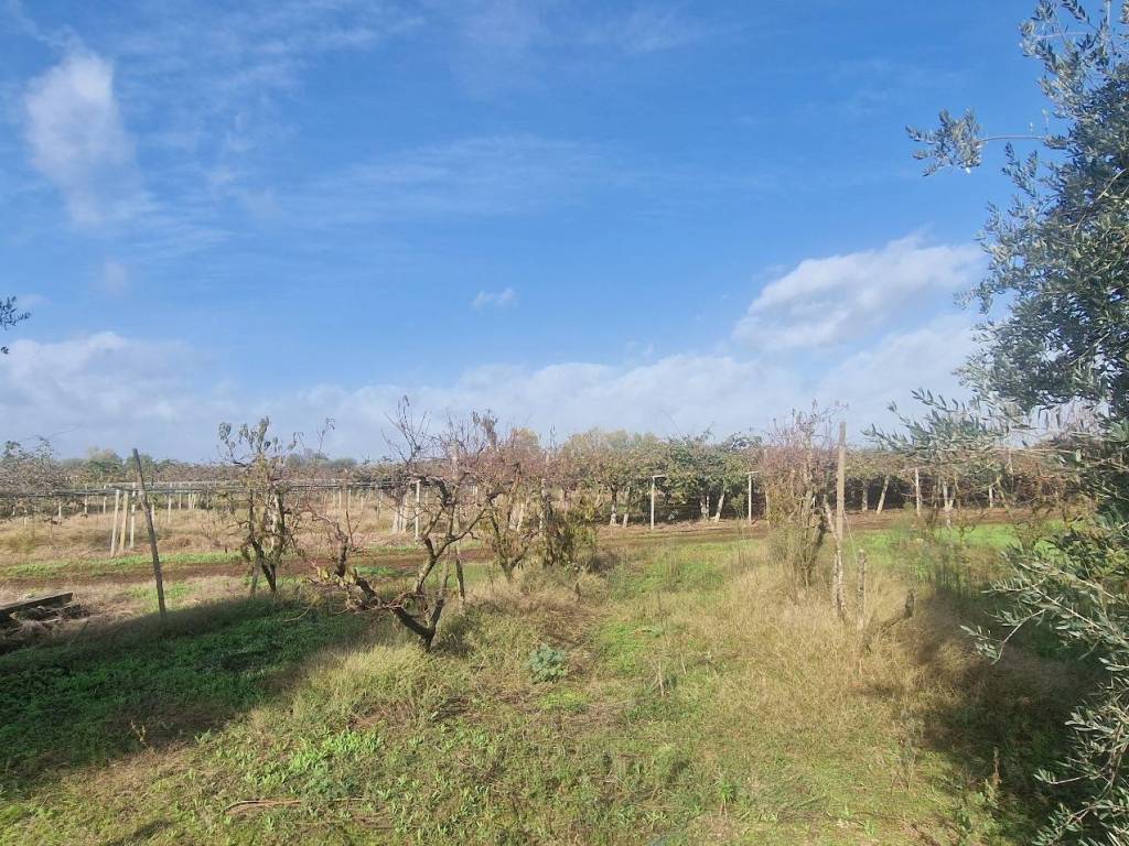 Immobile a Cisterna di latina in Via Palmiero Ianiri - Foto 5