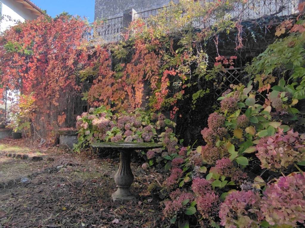 Rustico / casale a Trisobbio in Via per Ovada - Foto 2