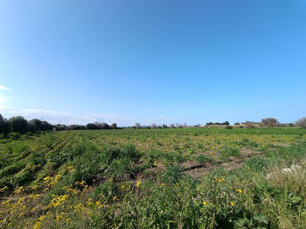Terreno a Siracusa in Traversa Pozzo di Mazza - Foto 3