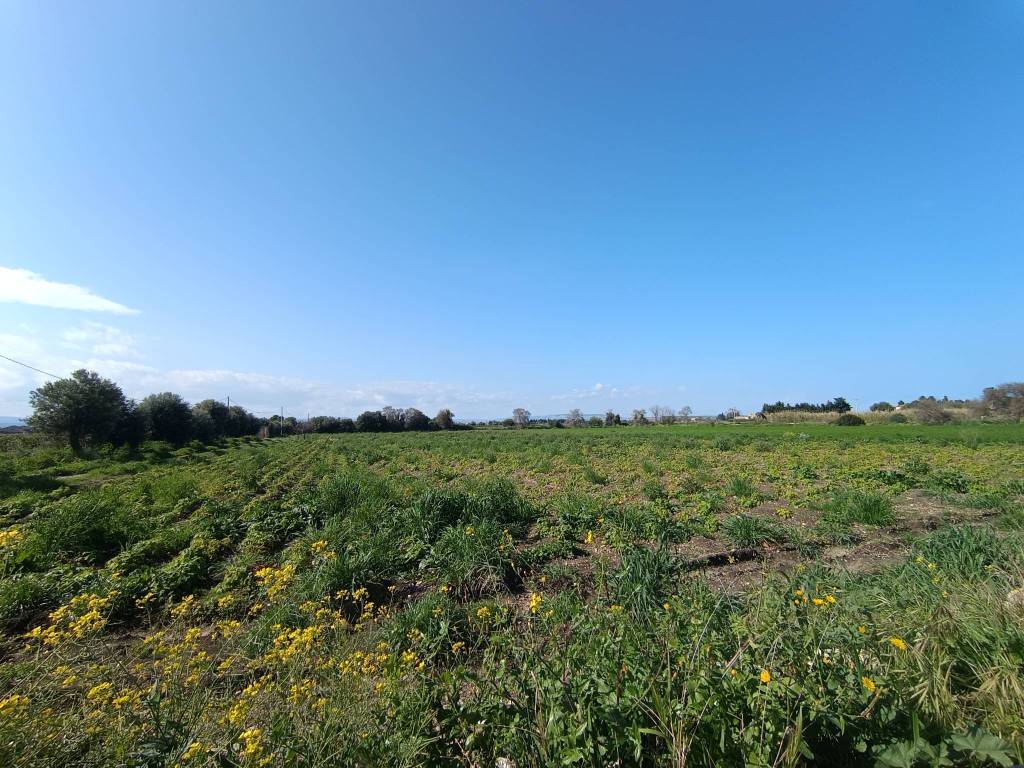 Terreno a Siracusa in Traversa Pozzo di Mazza - Foto 4