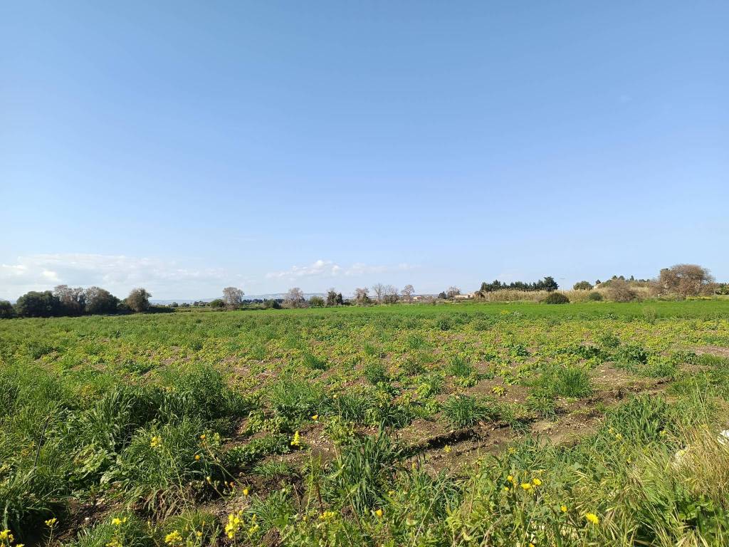 Terreno a Siracusa in Traversa Pozzo di Mazza - Foto 5