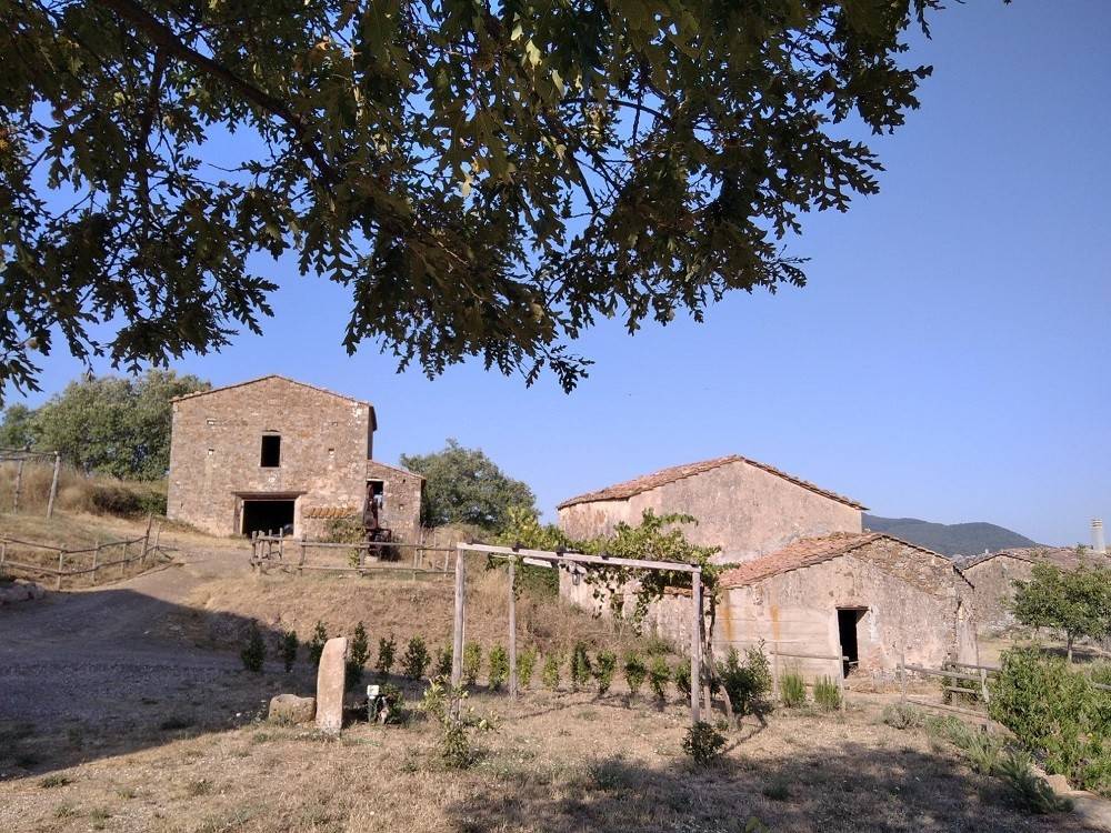 Rustico / casale a Roccastrada in Case Cincigliano - Foto 3