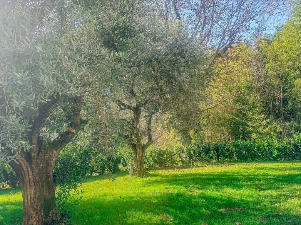 Villa a Bagni di lucca in Via Solcini, 2 - Foto 3