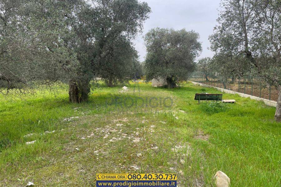 Terreno a Bisceglie - Foto 2