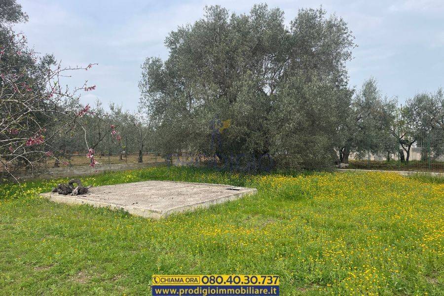 Terreno a Bisceglie - Foto 5