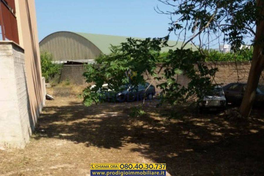 Terreno a Bisceglie - Foto 5