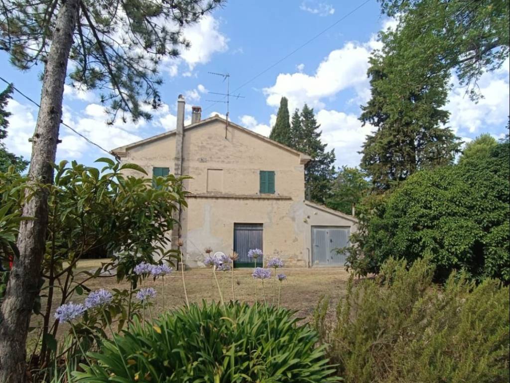 Rustico / casale a Mondolfo in Via Carestia, 1 - Foto 4