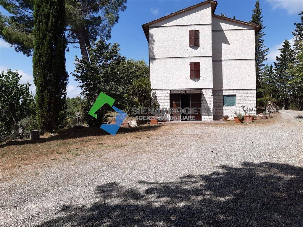 Casa indipendente a Asciano - Foto 3
