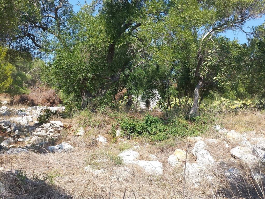 Terreno a Tricase in Via Litoranea - Foto 3