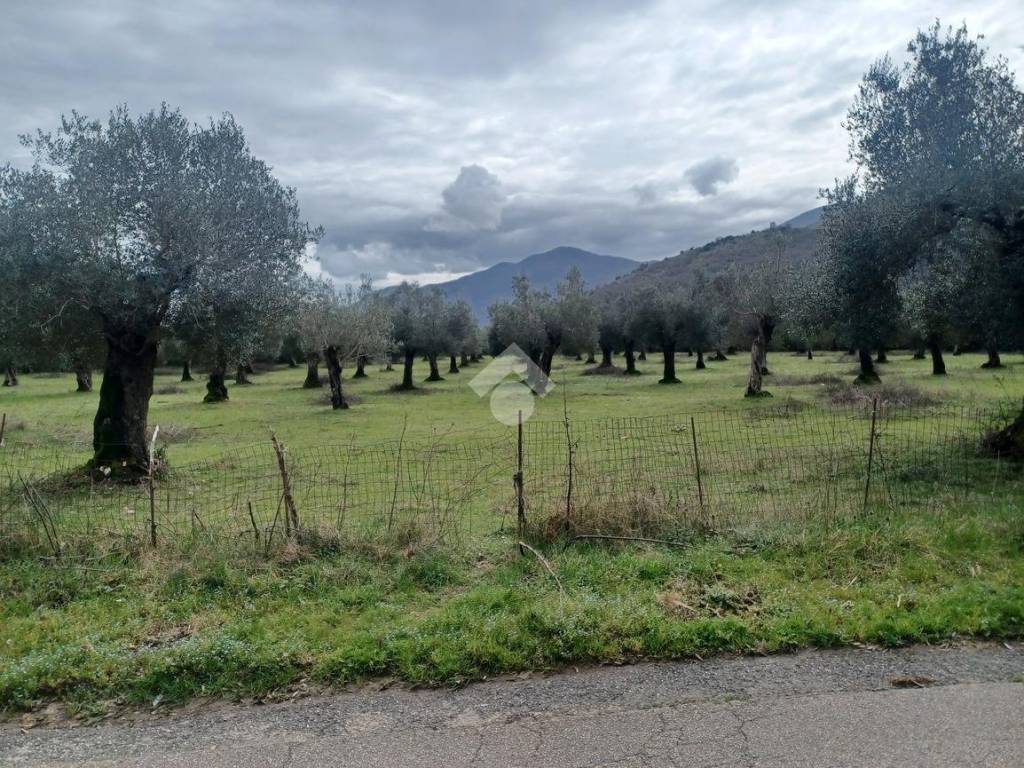 Terreno a Venafro in Strada di Bonifica - Foto 5