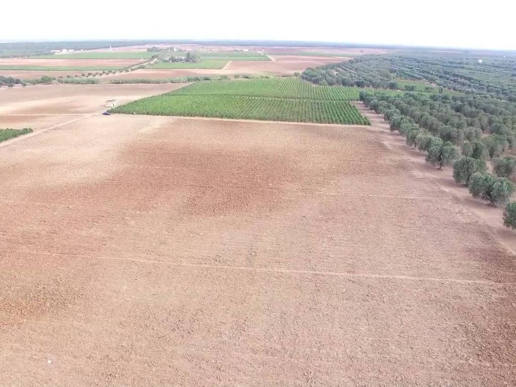 Rustico / casale a Latiano - Foto 3