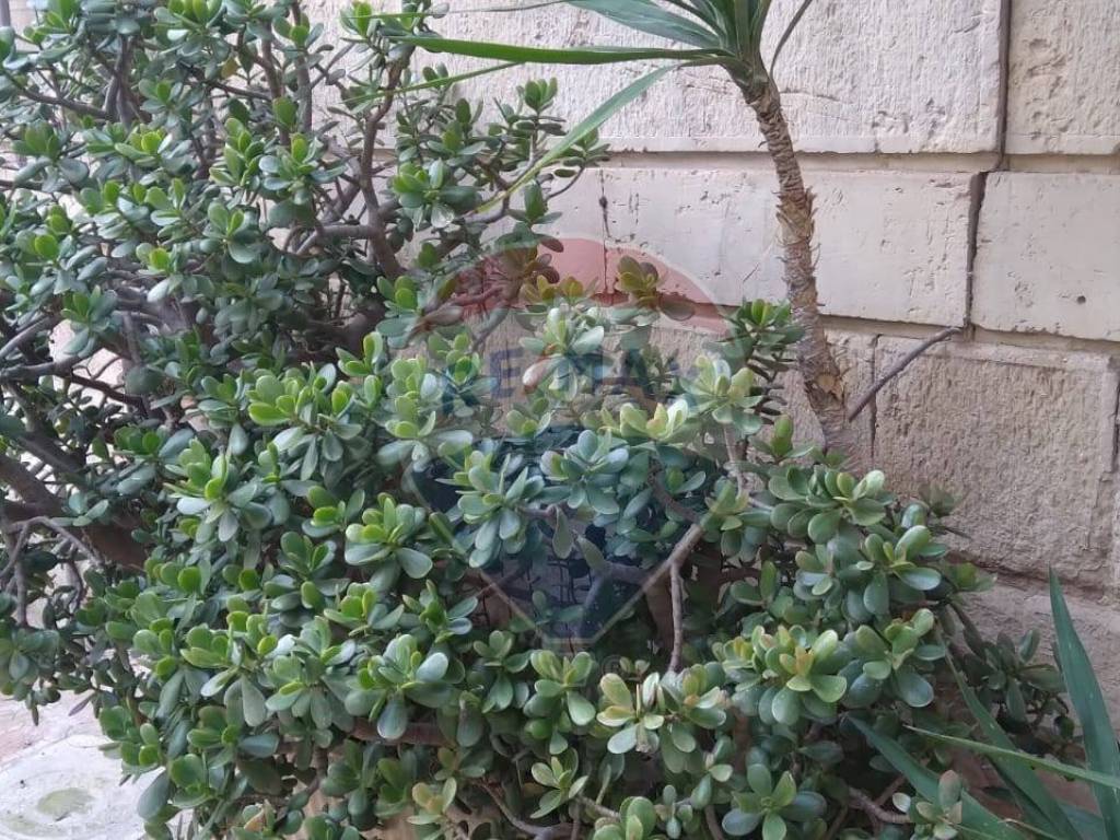 Casa indipendente a Ferla in Via Garibaldi, 28 - Foto 5