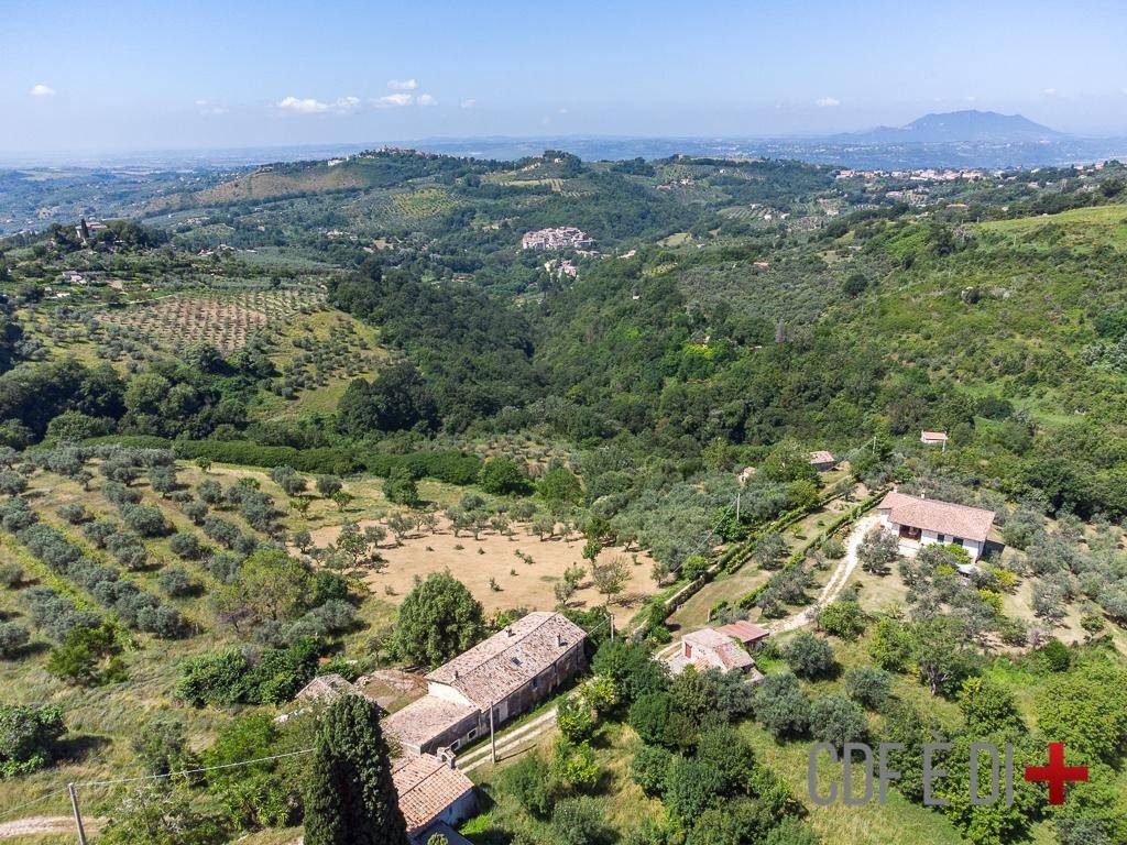 Rustico / casale a Poggio mirteto in SP48 - Foto 2