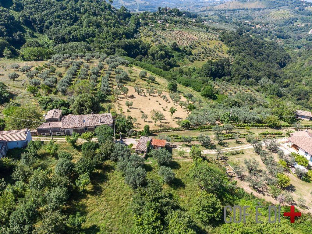 Rustico / casale a Poggio mirteto in SP48 - Foto 4