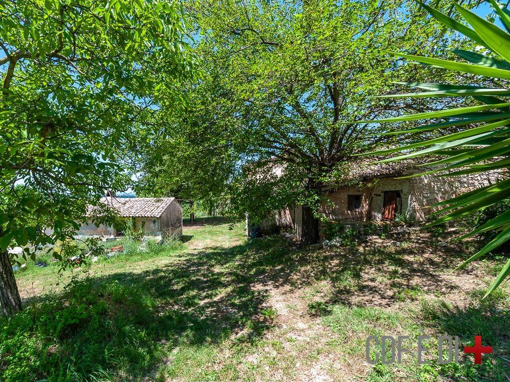 Rustico / casale a Poggio mirteto in SP48 - Foto 5